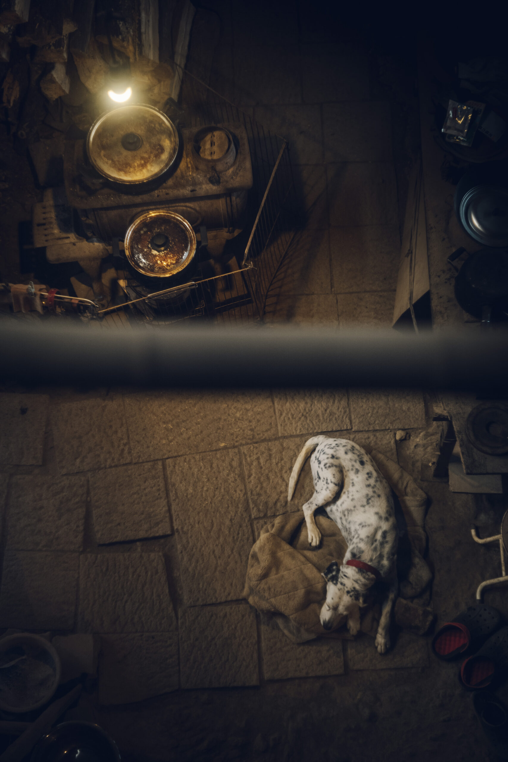 ARTS&SCIENCE / Branding project